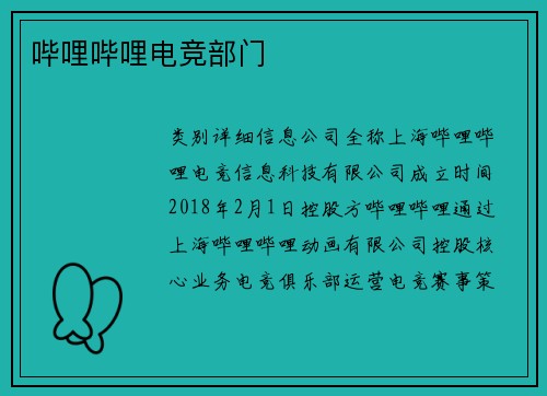 哔哩哔哩电竞部门